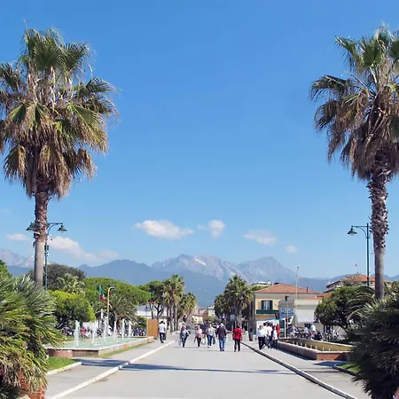 White By Interhome Apartment Forte dei Marmi