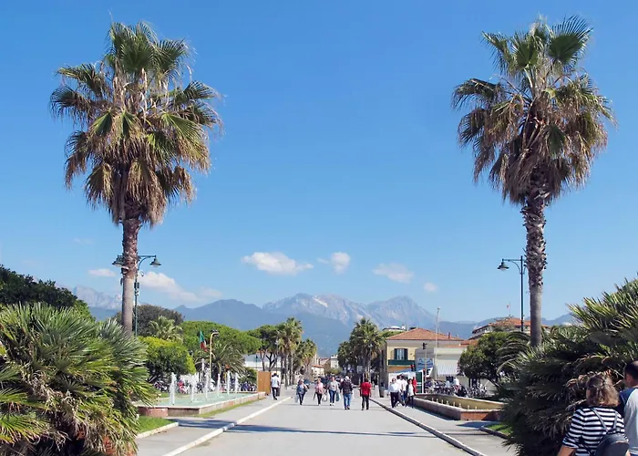 White By Interhome Apartment Forte dei Marmi